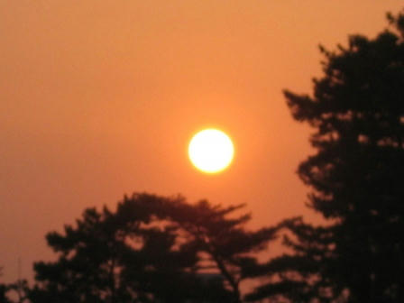 奈良公園の夕日