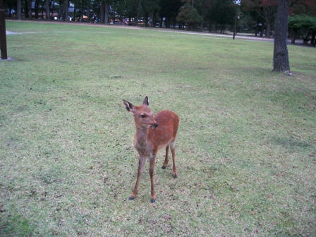 2005.10.26　バンビちゃん