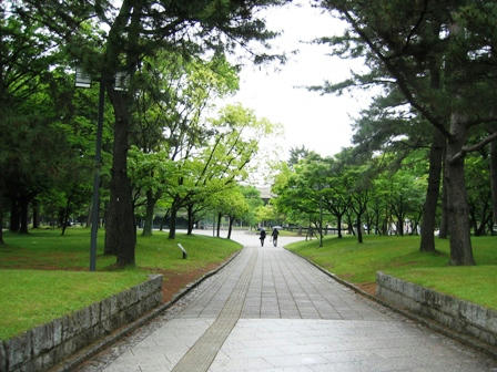 雨の奈良公園