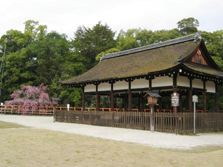 上賀茂神社の境内