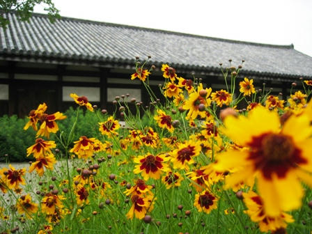 お花と禅室
