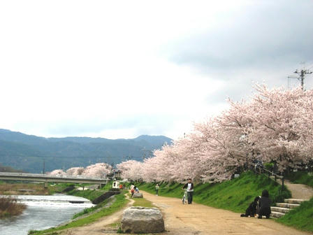 鴨川の川辺