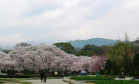 京都植物園