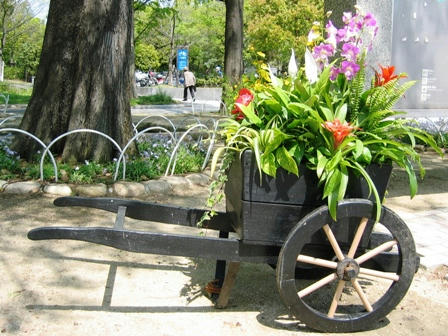 鶴見緑地のお花