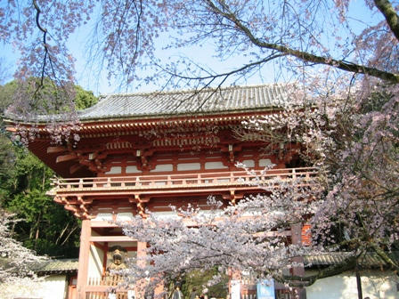 醍醐寺の仁王門