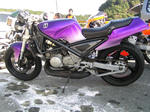20081102_0241.JPG