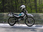 P51000391.jpg