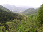 P5100040.JPG