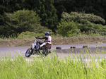 P9050019.jpg