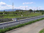 P9130002.jpg