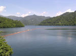 P7180013.JPG