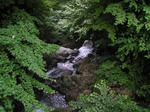 P8010003.JPG