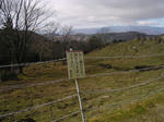 PB210013.jpg