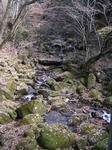 PB210036.jpg