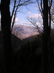 PB210039.jpg