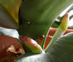 080103_1.jpg