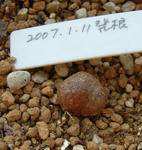 080222pol.jpg
