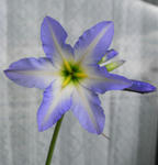 080411ryuco.jpg