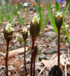 080501hitorisizuka.jpg