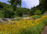 090612okinkeigiku.jpg