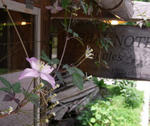 090616herbalnote.jpg