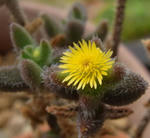 090629raido.jpg