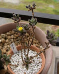 090629raido2.jpg
