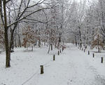 091117snow3.jpg