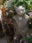 091201cat3.jpg