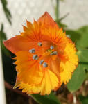 091227smithiijpg.jpg