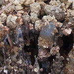100205shimobashira2.jpg
