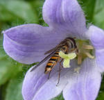 100420visitor.jpg
