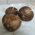 100429shiitake.jpg
