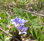 100503fuderinsou2.jpg