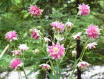 100614odamaki.jpg