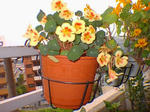 100705oldphoto.jpg