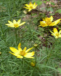 100725itoba.jpg