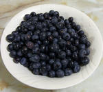 100805blueberry.jpg