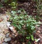 100914tanjin2.jpg