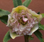 110216home.jpg