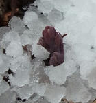 110419hyou2.jpg