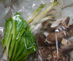 110504sansai.jpg