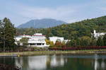 111014tateshinako.jpg