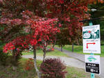 111014tateshinako2.jpg
