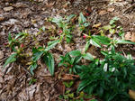 111019tururin1.jpg