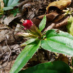 111019tururin2.jpg