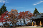 111019yokoya2.jpg