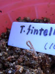 111024fintel.jpg
