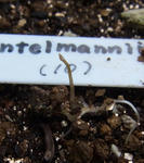 111030fintel1.jpg