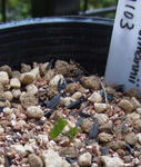 111103fintel3.jpg